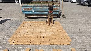 Van'da Uyuşturucu Operasyonu