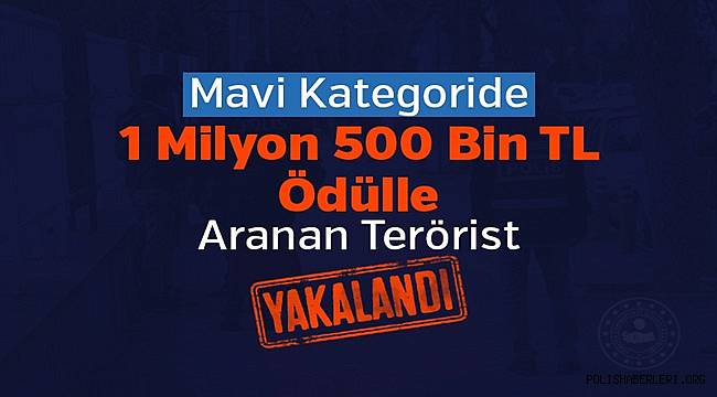 Mavi Kategoride Aranan Örgüt Üyesi Yakalandı 