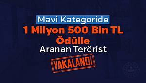 Mavi Kategoride Aranan Örgüt Üyesi Yakalandı 