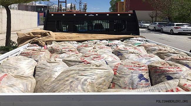 Van'da 5 Ton 625 Kilogram Kaçak Avlanmış İnci Kefali Ele Geçirildi 
