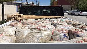 Van'da 5 Ton 625 Kilogram Kaçak Avlanmış İnci Kefali Ele Geçirildi 