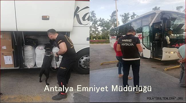 Antalya Şehirlerarası Otobüs Terminalinde Uyuşturucu Operasyonu Gerçekleştirildi 