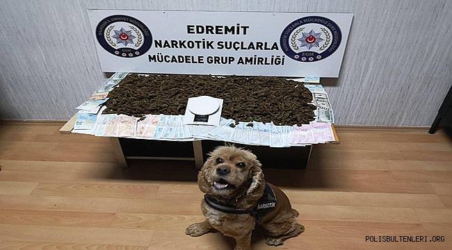 BALIKESİR EDREMİT'TE SUÇ MAKİNESİ UYUŞTURUCUDAN YAKALANDI