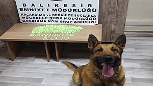 Balıkesir Emniyeti Narkotik dedektör köpeği Ciel marifetiyle arama tarama yaparak narkotik maddenin yerini tespit etti ve herkesin takdirini kazandı.