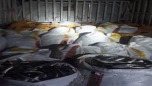 Van'da Kaçak Avlanmış İnci Kefali Balığı Ele Geçirildi