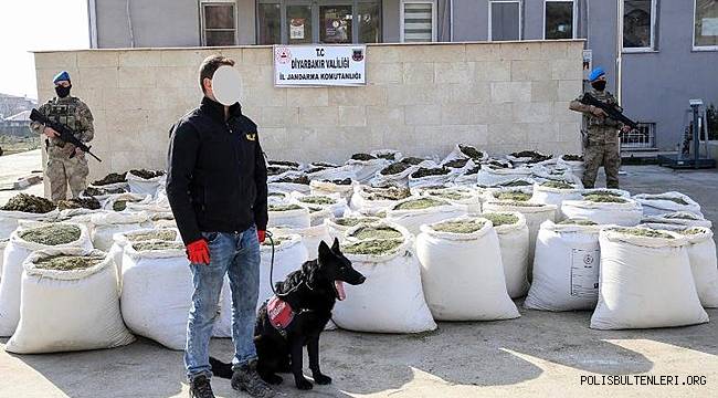 Jandarma'dan Uyuşturucu Tacirlerine Geçit Yok! 