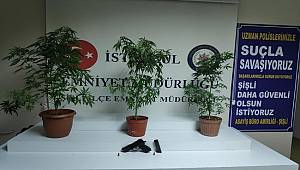 Şişli İlçe Emniyet Müdürlüğü uyuşturuculara geçit vermiyor