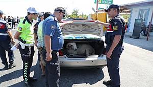 Ülke Genelinde Eş Zamanlı Olarak “Türkiye Huzur ve Trafik Uygulaması (2019-2)” Gerçekleştirildi 