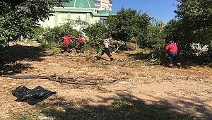 Antalya Polisi  Suça Sebep Olan Arazinin Temizlenmesini Sağladı 