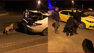 Bitlis'in Güroymak İlçemizde 'Şok Sabit Yol Uygulamaları'Yapıldı