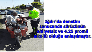 Iğdır'da Trafik Denetimleri Devam Ediyor