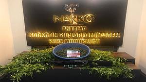 Kepez İlçesinde Bir İkamette Yapılan Aramada Uyuşturucu Madde Ele Geçirildi 