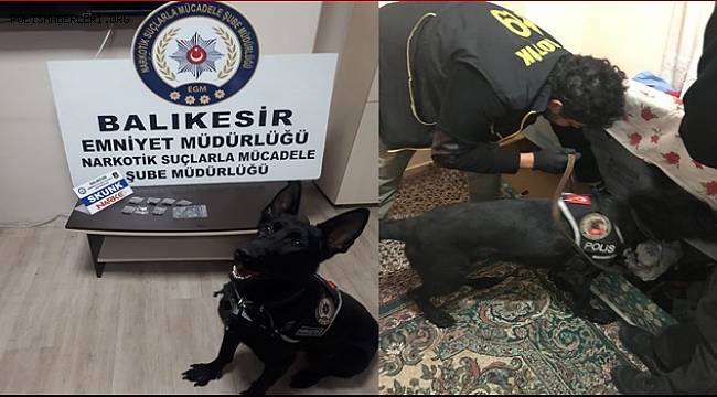 NARKOTİK KÖPEĞİ 'BATH' UYUŞTURUCU TACİRLERİNE GEÇİT VERMİYOR