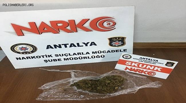 Antalaya’da Zeytinköy Bölgesinde “Alan Denetimi Projesi” Çalışmaları Yapıldı