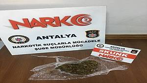 Antalaya’da Zeytinköy Bölgesinde “Alan Denetimi Projesi” Çalışmaları Yapıldı