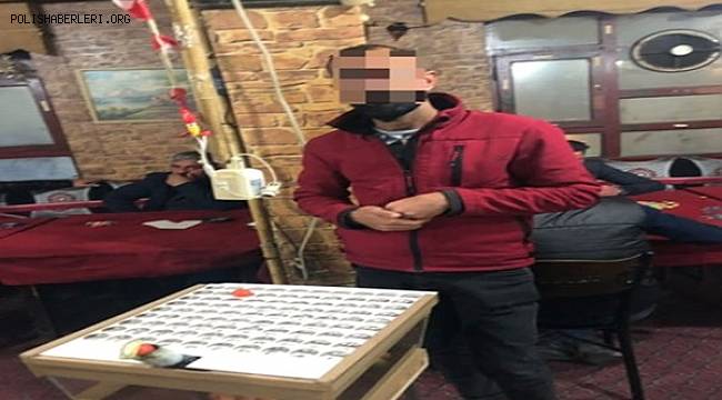 Van'da Umuma Açık İstirahat ve Eğlence Yerleri Denetlendi 