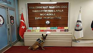 Van'da Uyuşturucu Operasyonu