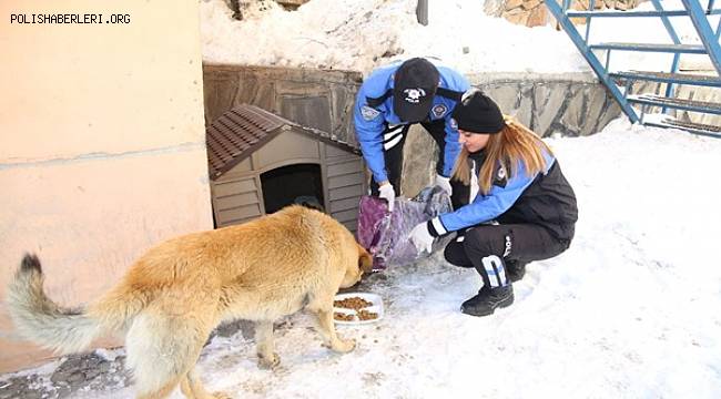 Hakkari Emniyet Müdürlüğü 