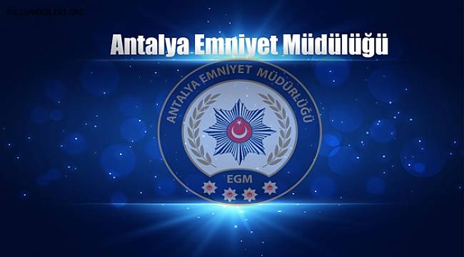 Şenlik ve İşaret Fişeği Cinsinden Piroteknik Maddelerin Kullanım Koşulları 