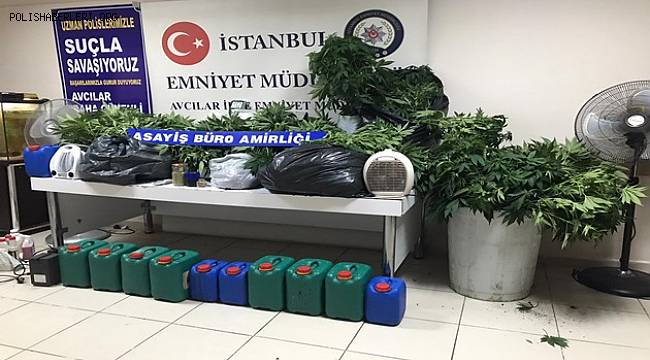 Avcılar’da uyuşturucu serasına dönüştürülen eve baskın Yapıldı