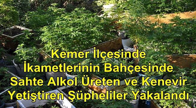 Bahçesinde Sahte Alkol Üreten ve Kenevir Yetiştiren Şüpheliler Yakalandı