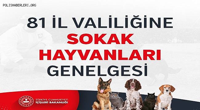 Koronavirüs Tedbirleri Kapsamında 81 İl Valiliğine Sokak Hayvanları Genelgesi 