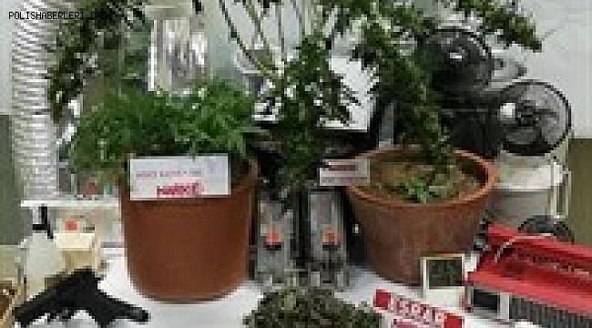 BALIKESİR POLİSİNDEN UYUŞTURUCU OPERASYONU 