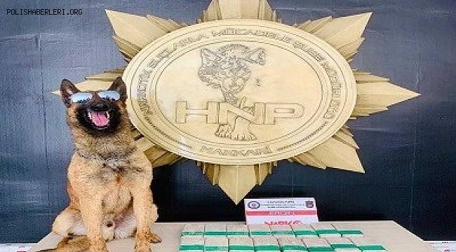 Hakkari'de Uyuşturucu Operasyonu!