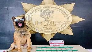 Hakkari'de Uyuşturucu Operasyonu!