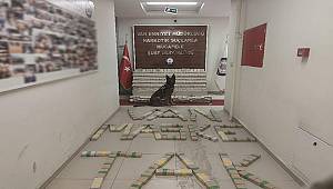 Van'da Toprağa Gömülü 248 Kilo Eroin Ele Geçirildi