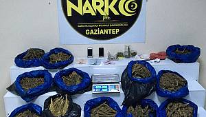 Gaziantep Narkotik Ekiplerinin Çalışmalarında 17 kilo Esrar Ele Geçirildi