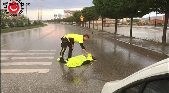 Otomobilin Çarptığı Yaralı Köpeğe Polis Şefkati 