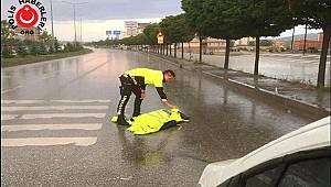Otomobilin Çarptığı Yaralı Köpeğe Polis Şefkati
