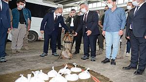 Van'da Uyuşturucu Operasyonu 