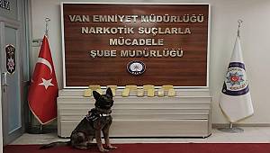 Van'da Uyuşturucu Operasyonu
