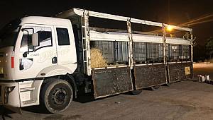 Adana'da 14,5 Ton Kaçak Akaryakıt Ele Geçirildi 