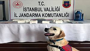 Aracın Bagaj Kısmına Saklanmış Yüklü Miktarda Uyuşturucu Çıktı 