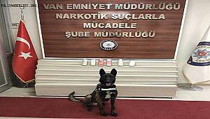 Tır'da Yapılan Aramada Uyuşturucu Madde Ele Geçirildi