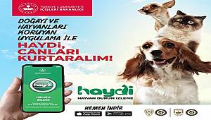 HAYDİ Uygulamasını 17 Günde 9 Bin 453 Kişi İndirdi