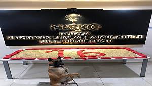 Narkotik Suçlarla Mücadele Şube Müdürlüğümüzce düzenlenen operasyonlarda bir şahıs yakalandı 