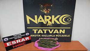 Tatvan Narkotik Suçlarla Mücadele Grup Amirliğimizce Yapılan Çalışmalar
