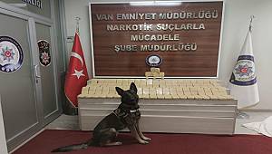 Van Emniyet Müdürlüğü'nden Başarılı Uyuşturucu Operasyonu