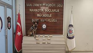 Van Narkotik Suçlarla Mücadele Şube Müdürlüğü Görevlilerince Uyuşturucu Operasyon