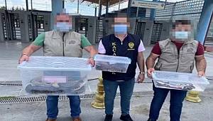 İstanbul Kaçakçlık Suçlarla Mücadele Şube Müdürlüğü ekipleri Satışa Hazır Piton Yılanı ele geçirdi