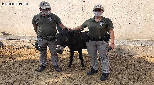 Mersin Emniyet Müdürlüğü Hayvanları Koruyalım