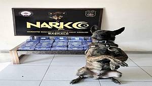 Van'da Uyuşturucu Operasyonu