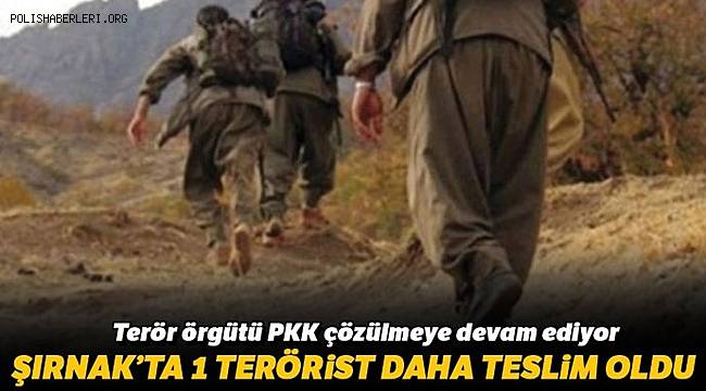 Terör Örgütü PKK'da Çözülme Devam Ediyor, İkna Yoluyla 1 Terörist Güvenlik Güçlerine Teslim Oldu