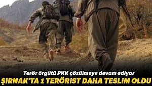 Terör Örgütü PKK'da Çözülme Devam Ediyor, İkna Yoluyla 1 Terörist Güvenlik Güçlerine Teslim Oldu