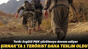 Terör Örgütü PKK'da Çözülme Devam Ediyor, İkna Yoluyla 1 Terörist Güvenlik Güçlerine Teslim Oldu