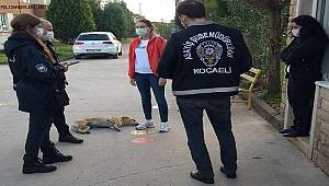 İl Emniyet Müdürlüğümüzce, GÜVENLİ OKUL UYGULAMASI Kartepe İlçemizde Gerçekleştirilmiştir.
